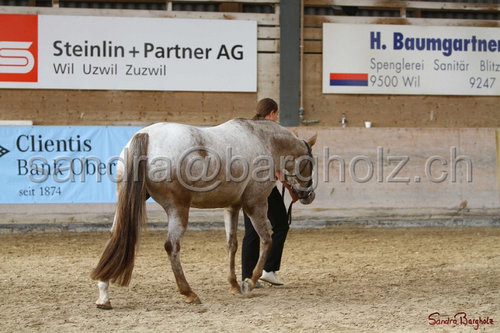 24-ApHC HIH_043.jpg